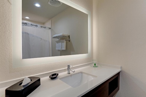 Holiday Inn Mobile Airport image 47
