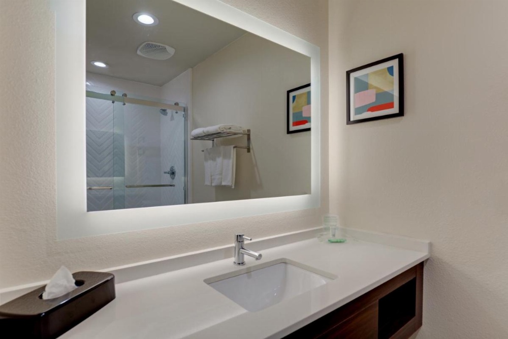 Holiday Inn Mobile Airport Image 6